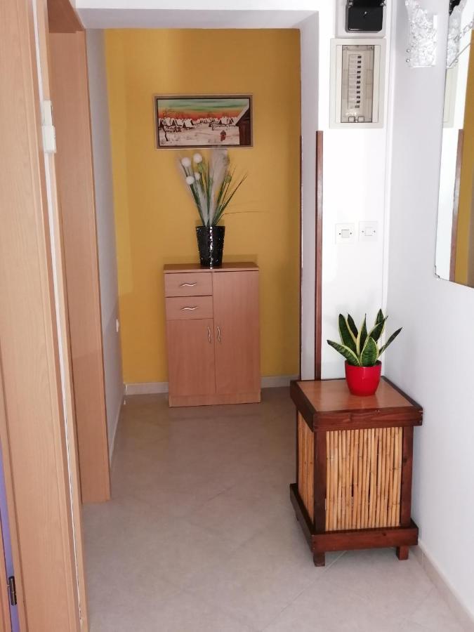 Novigrad Istria Apartman Bruna מראה חיצוני תמונה